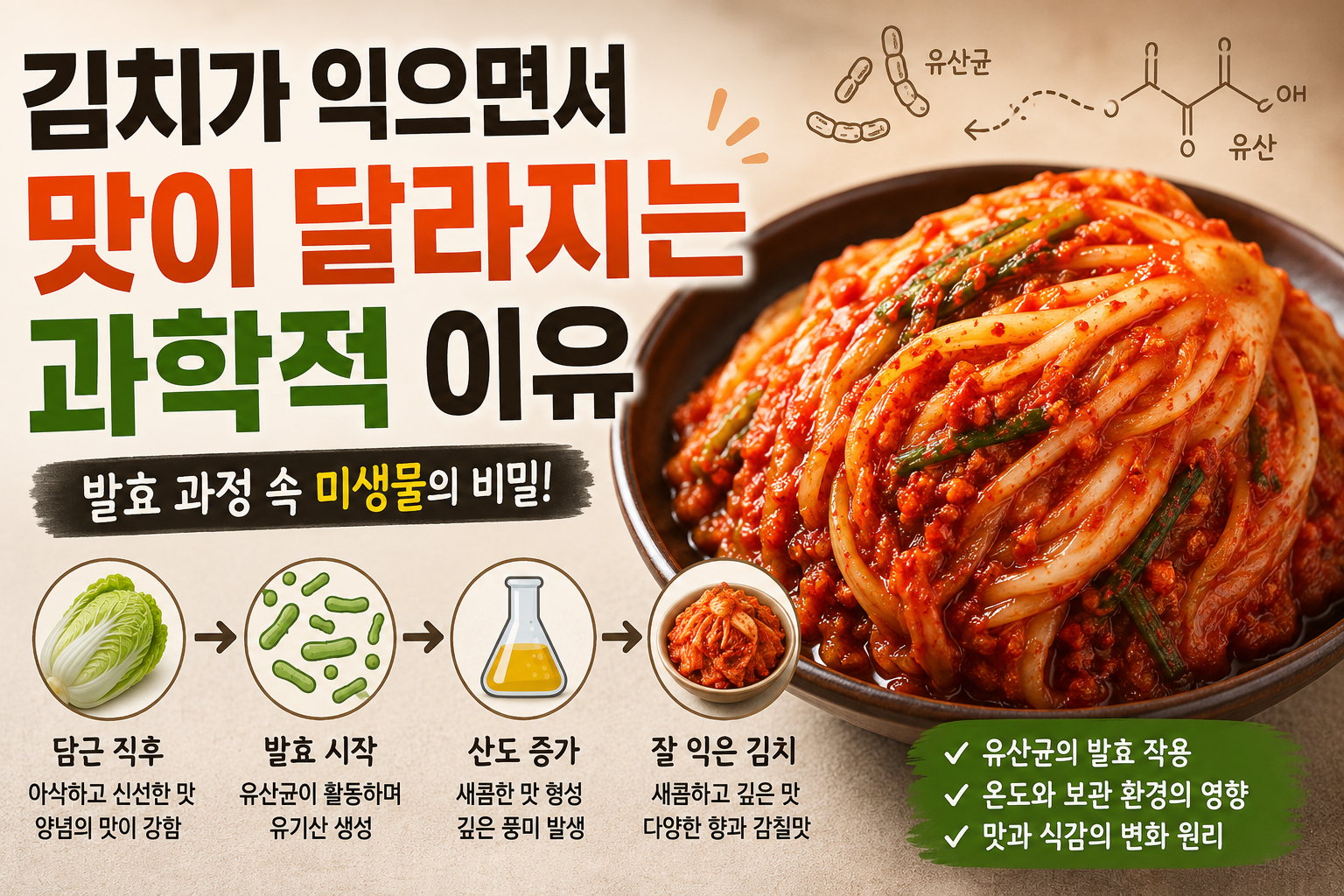 김치 썸네일
